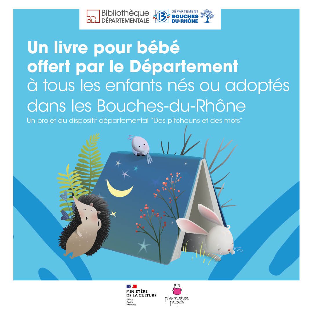 Affiche mon premier livre